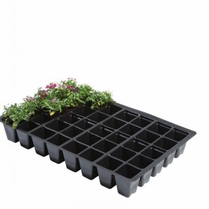 Cell Inserts 40s 5pack